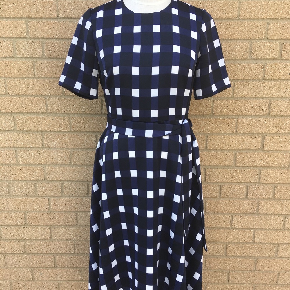 Banana Republic Size 2 Blue Checker Lined Dress